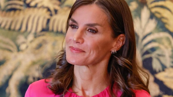 La reine Letizia sait que le rose est la couleur de l'automne et elle l'a donc porté lors de son premier acte officiel en Allemagne