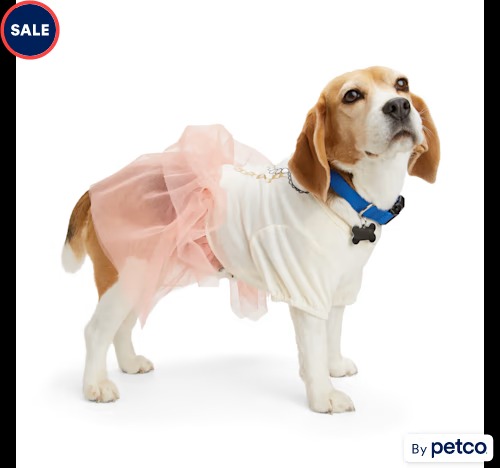 Robe pour chien à plusieurs niveaux en tulle Petco