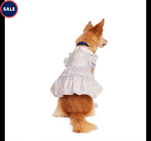Robe pour chien à col fleuri Youly Petco