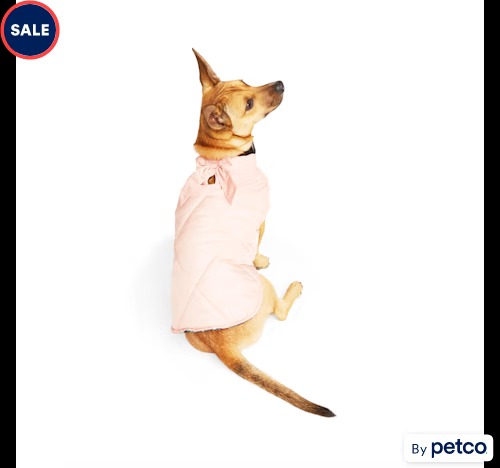 Youly Gilet pour chien avec nœud rose Petco