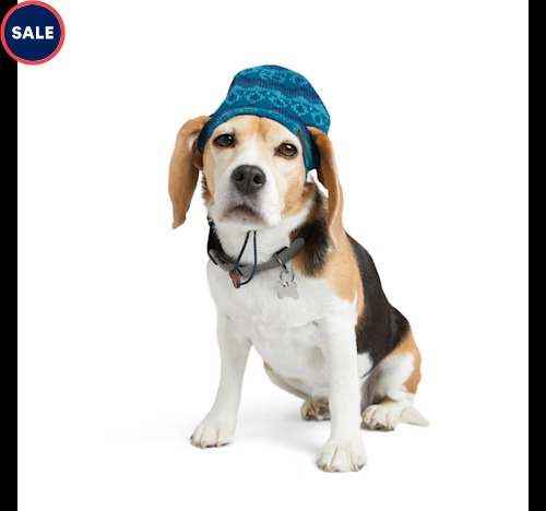Chapeau pour chien Fairisle bleu marine Reddy Petco