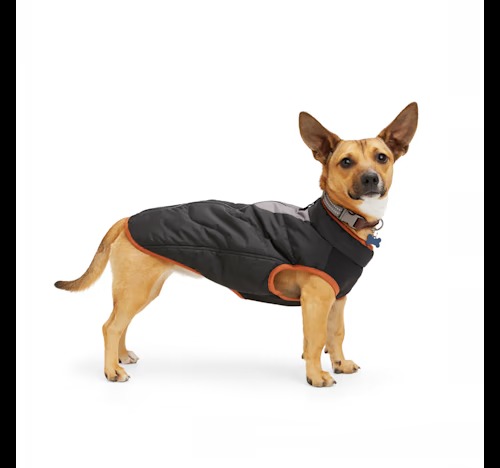 Veste pour chien Reddy Primaloft noire Petco