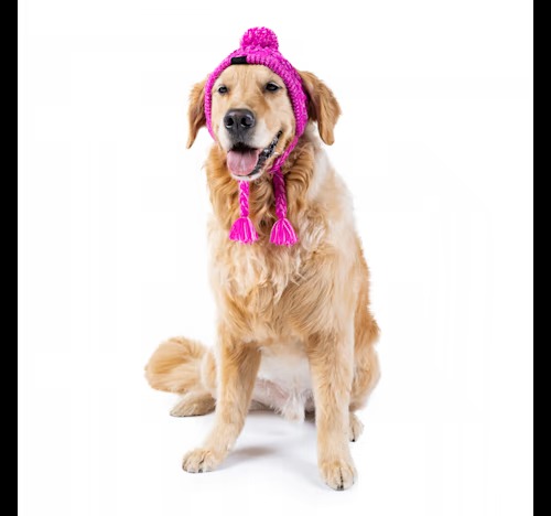 Canada Pooch Bonnet pour chien à pompon polaire rose Petco