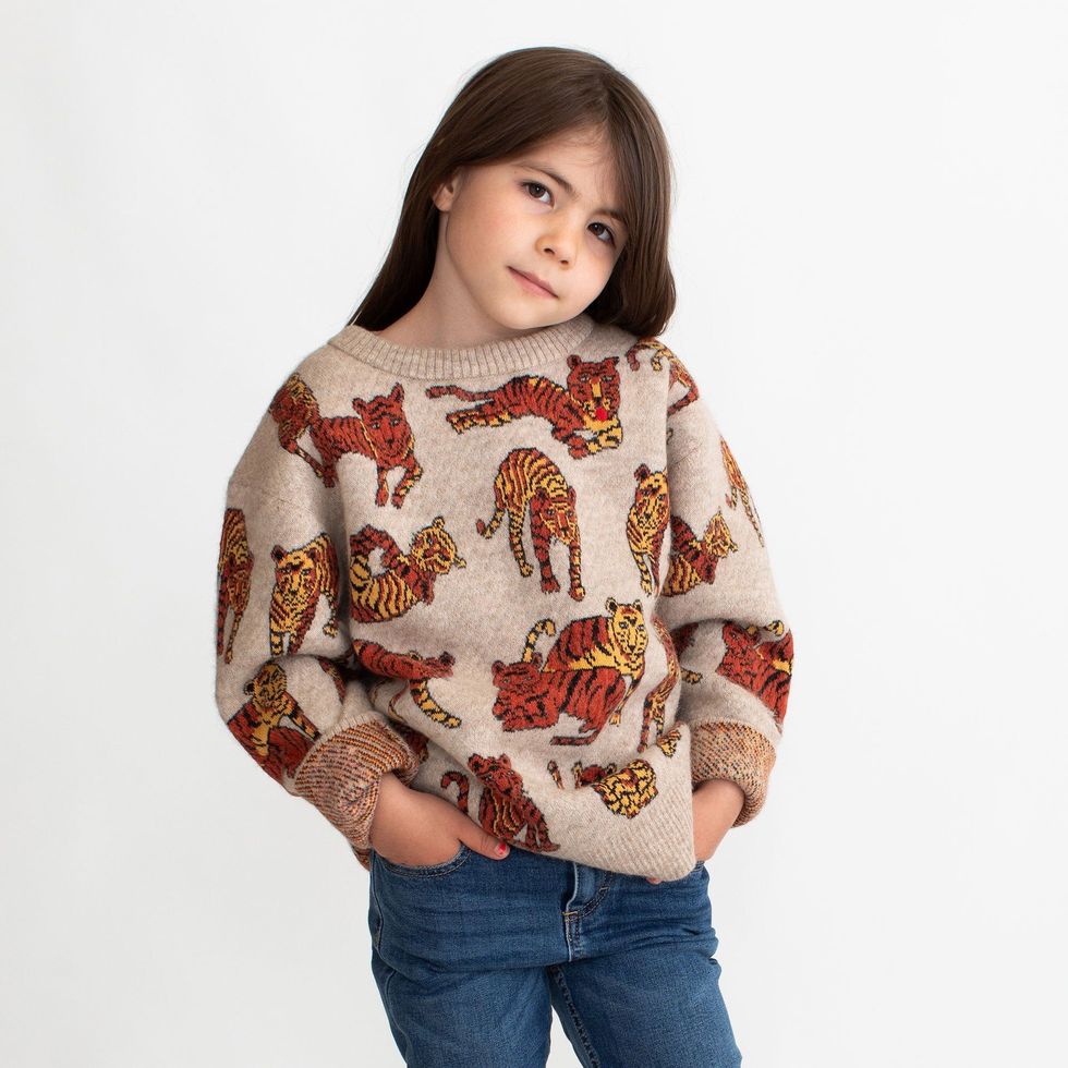 Pull Tigre Ludique Enfant