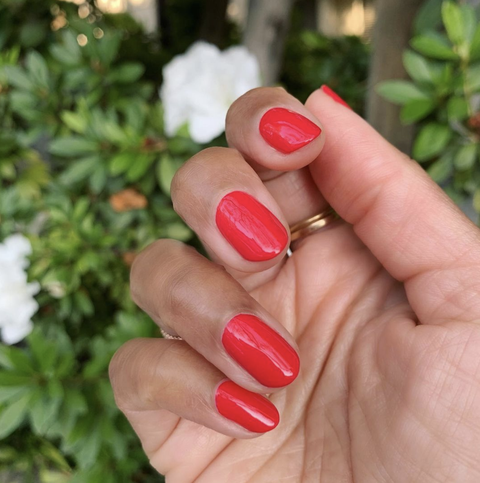 un mani rouge simple avec un fond floral
