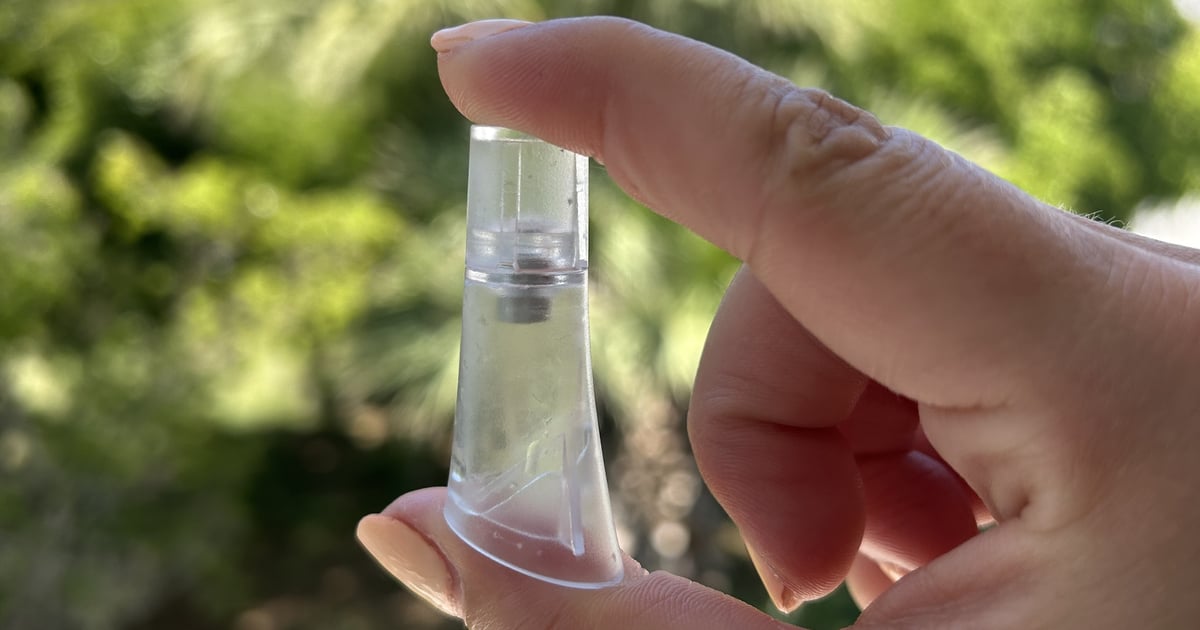 Examen de la tête de brosse à dents électrique Celf Beauty avec photos