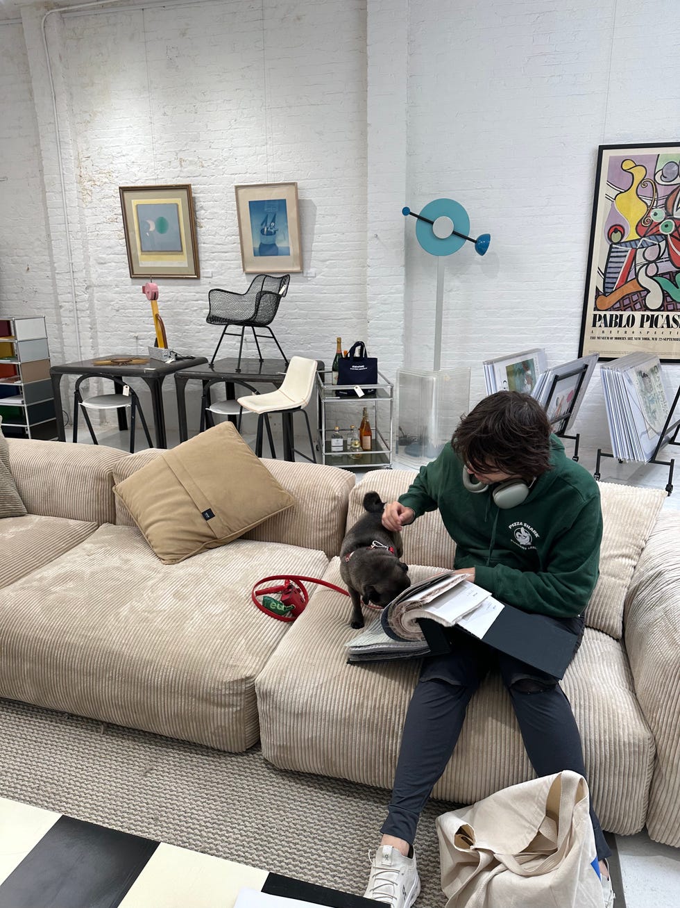 canapé vétérinaire