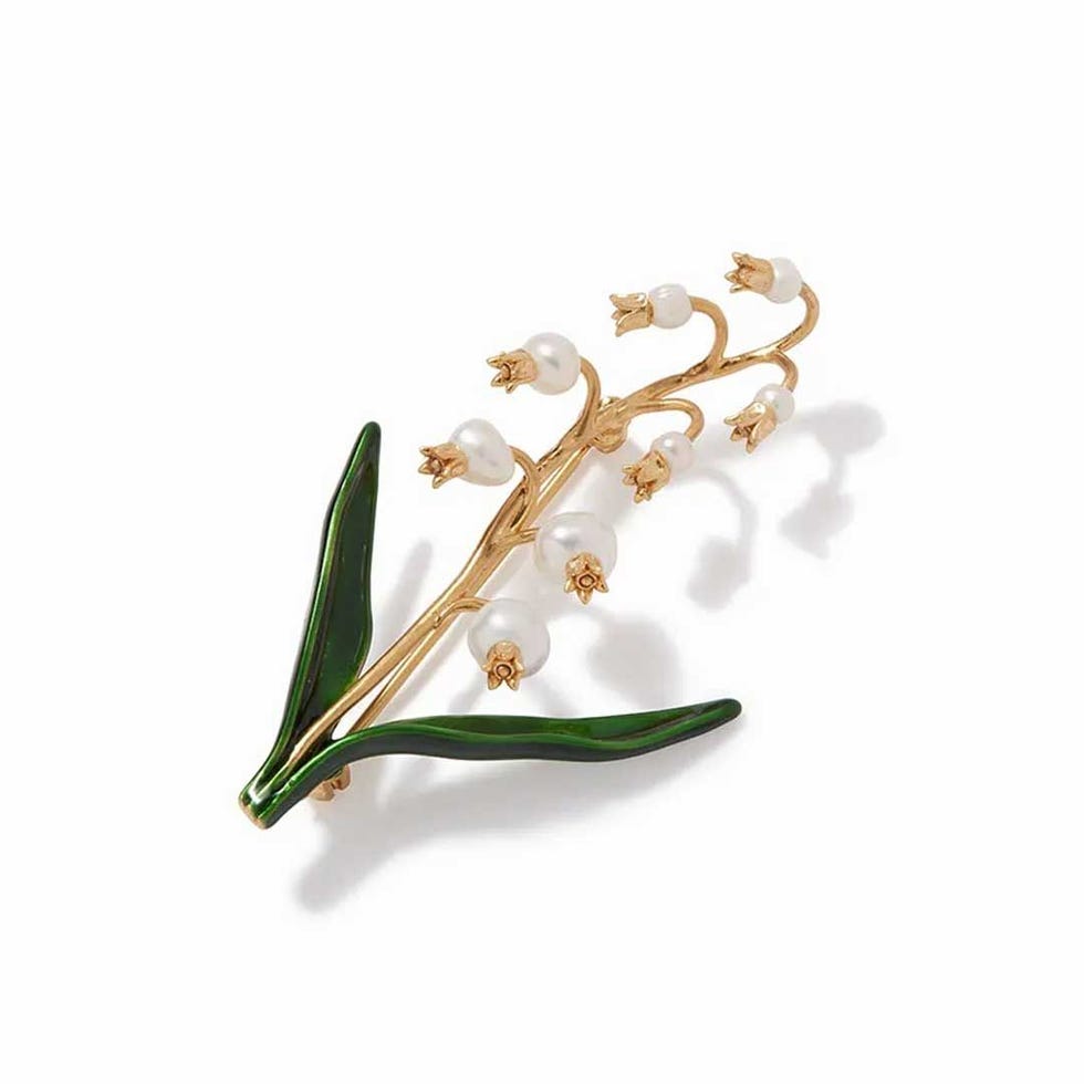 Lis de la broche de la vallée