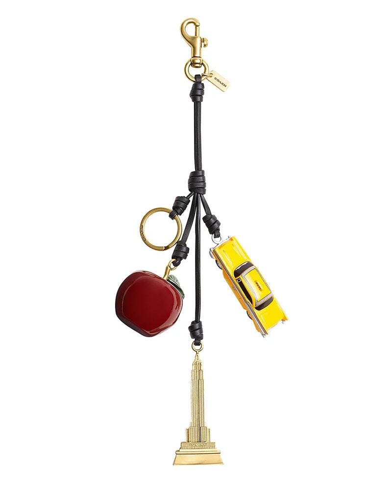 Charme de sac en grappe new-yorkais