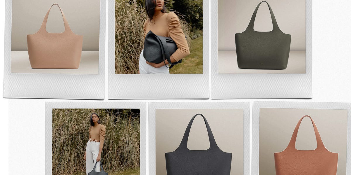 Cuyana System Tote Review 2025