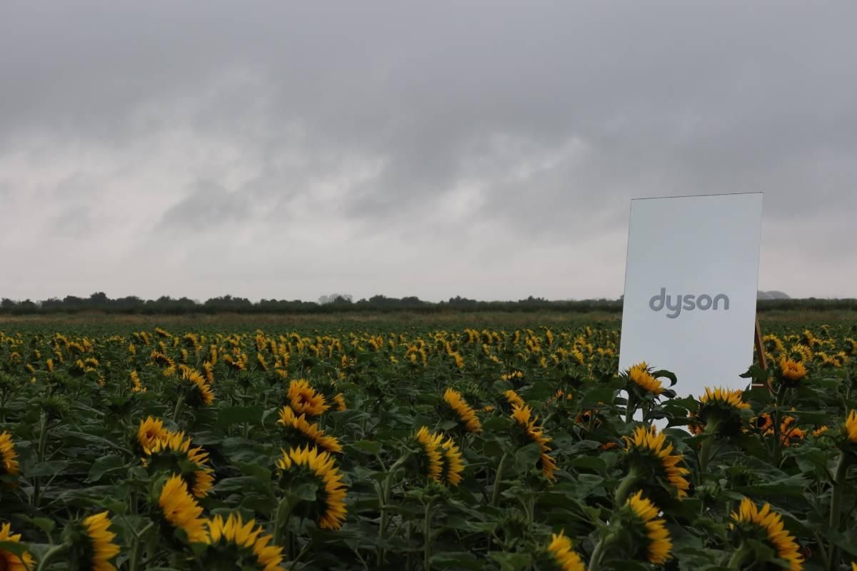Lo que no os pude contar de mi viaje a Reino Unido para descubrir la nueva línea nutritiva Dyson Omega™