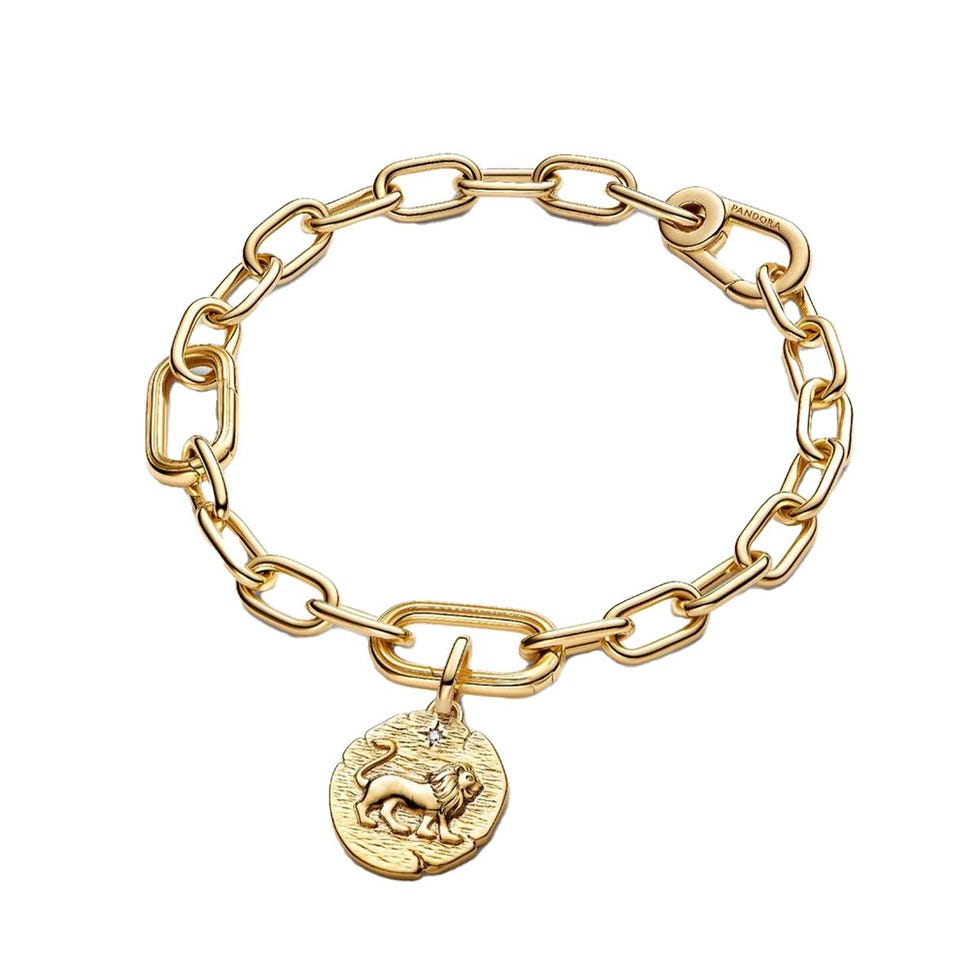 Charme Médaillon Lion