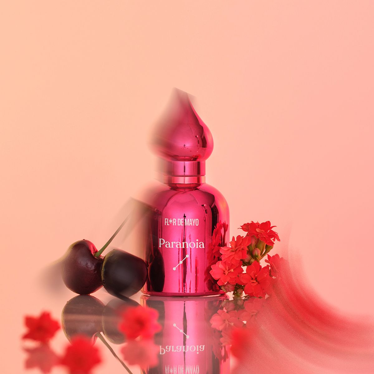 Paranoïa (8,50 €)