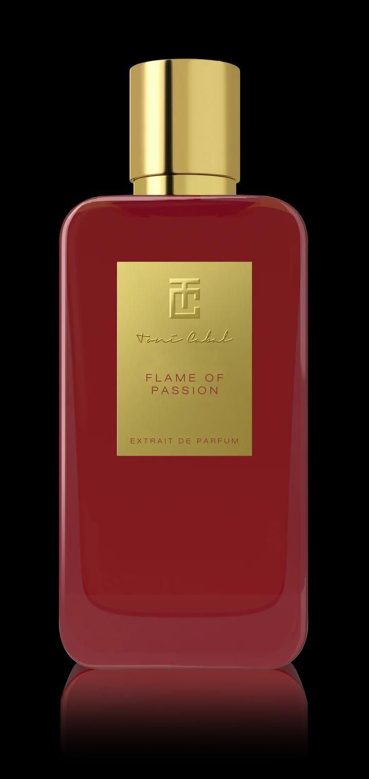 TC Renders Bouteille Flamme de Passion