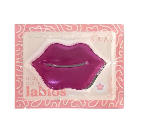 1699 Masque à Lèvres