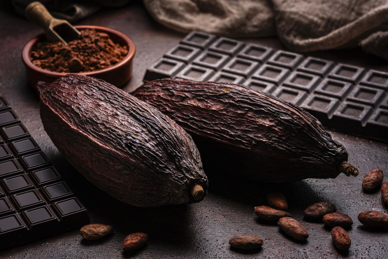 Le cacao est l'un des aliments les plus riches en magnésium, selon Manuel Viso.