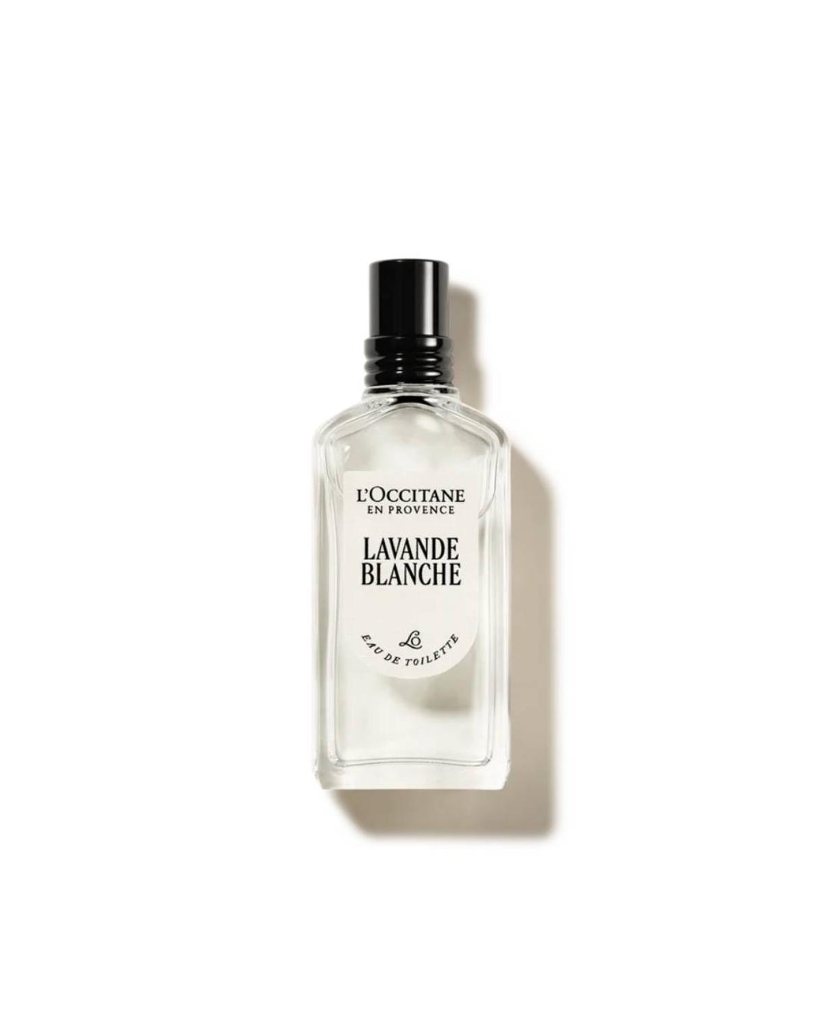 Lavande Blanche