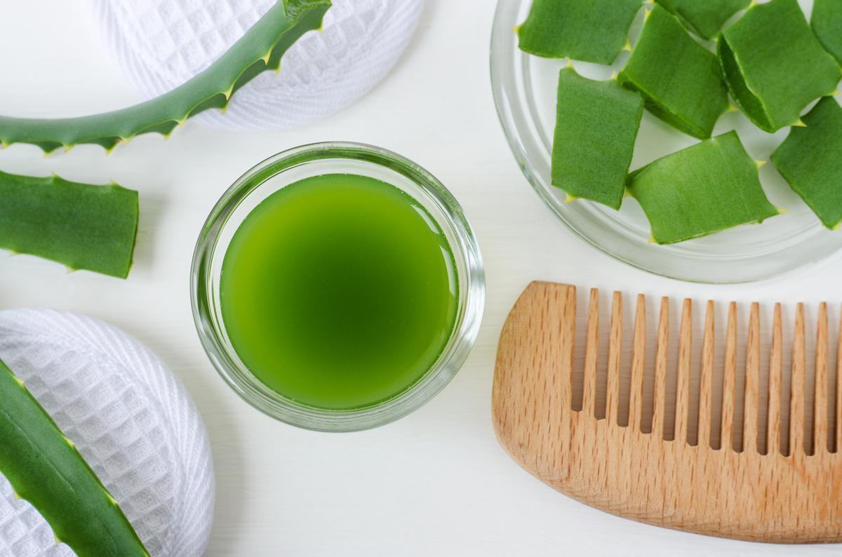 Aloe vera pour les cheveux